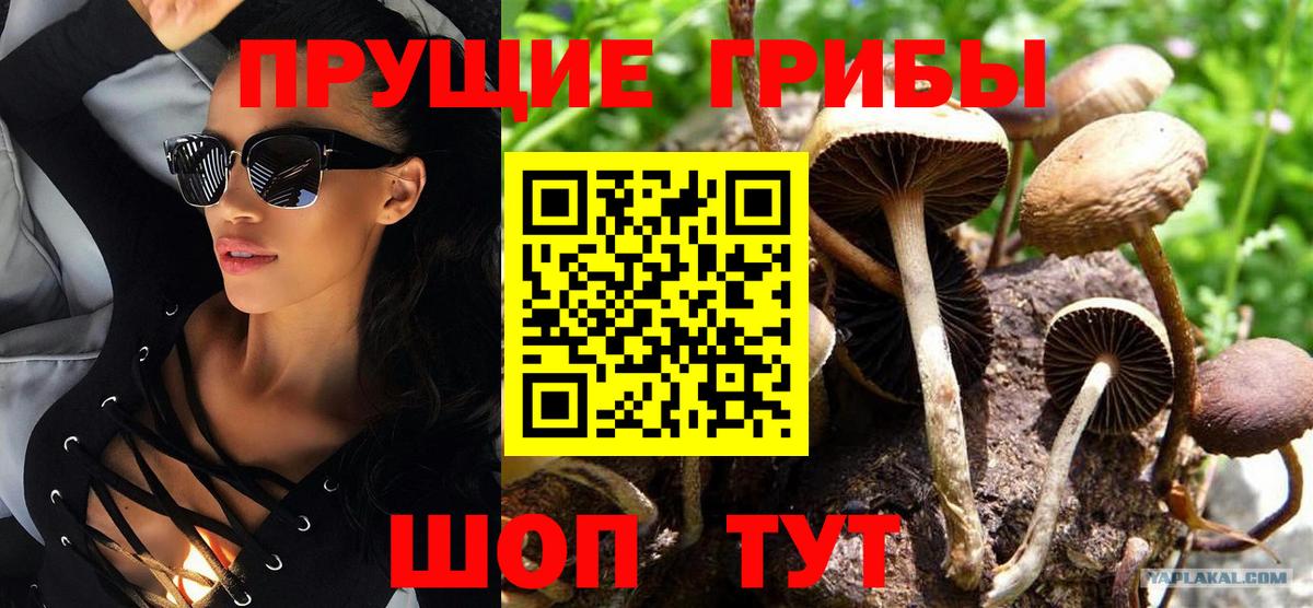 Псилоцибиновые грибы прущие грибы  цена наркотик  Волгоград  Вход с VPN 